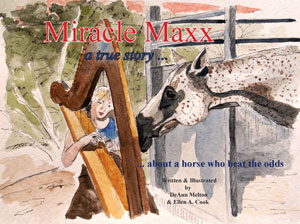 English version of Miracle Maxx